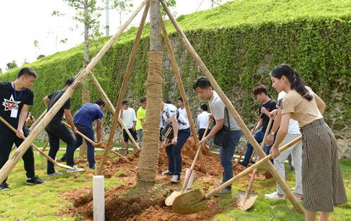 十年樹木，百年樹人——2017屆畢業生種植紀念樹活動圓滿舉行